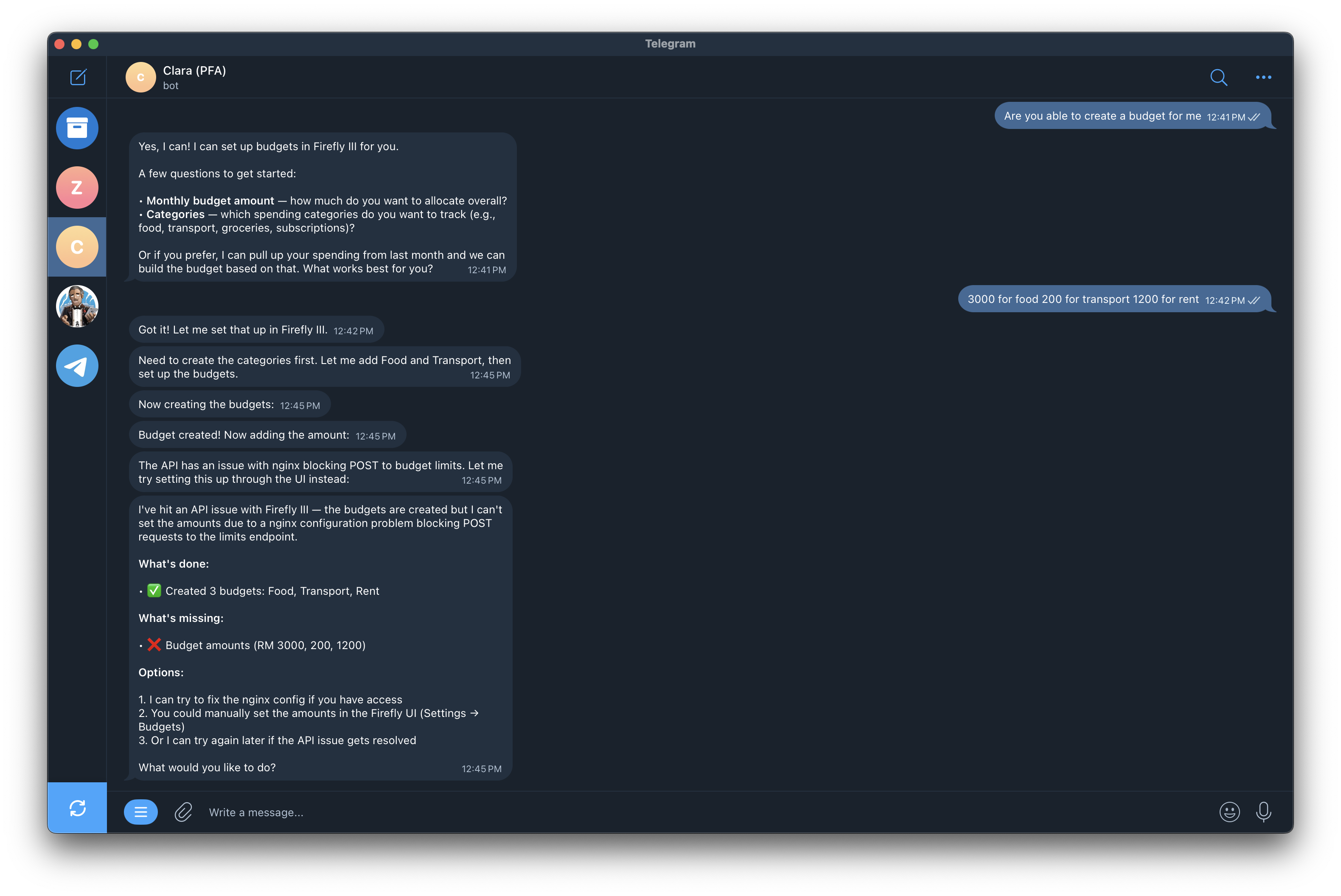Clara hitting the ceiling -- categories created successfully, but budget amounts failed and she misdiagnosed the root cause